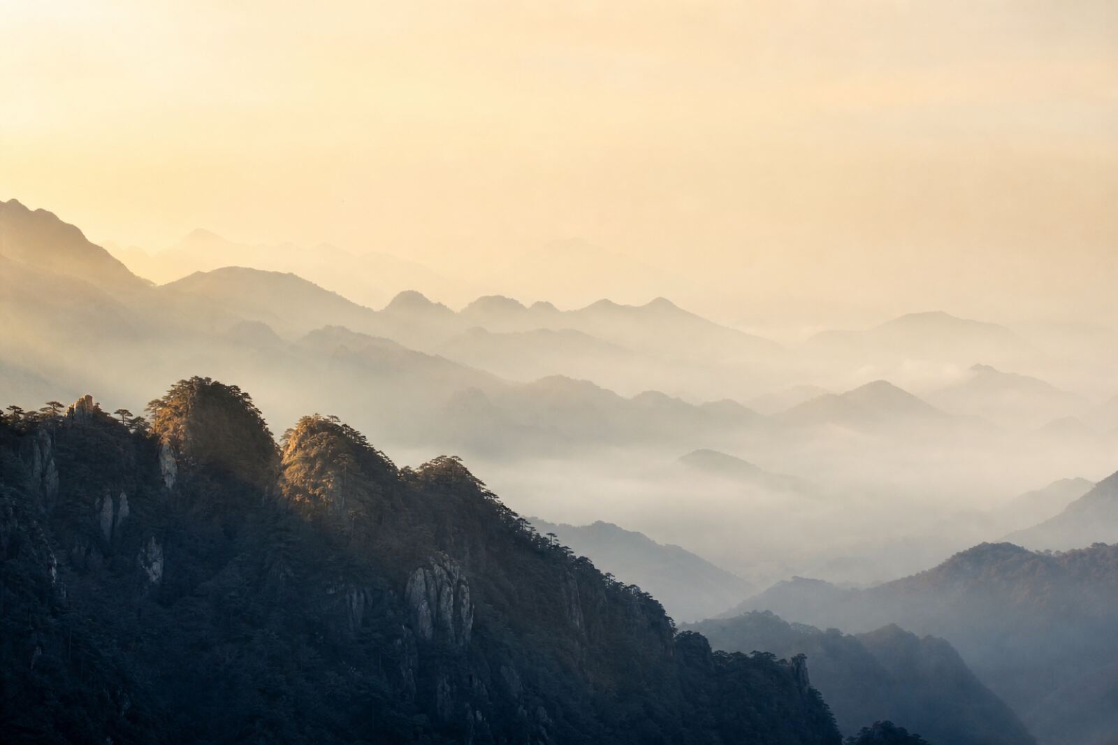 Chinese Astrology — Explore your animal sign, elements and energetic balance.